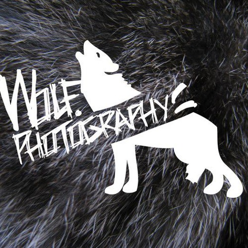 Drummer Wolf’s avatar