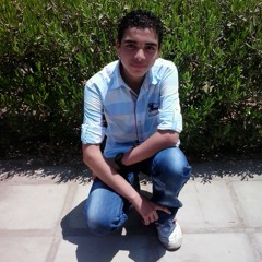 ElSayed Fekry