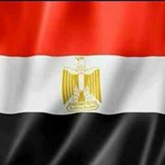 Amr Tawfik 4