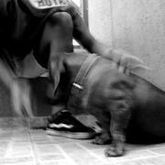 Lucas Moreira Germano