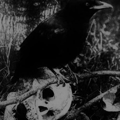 Unnamed Dark Ambient