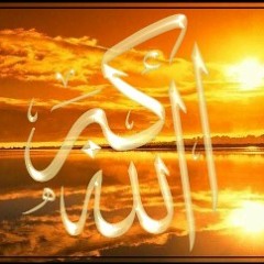 Ahmed Abdu 2
