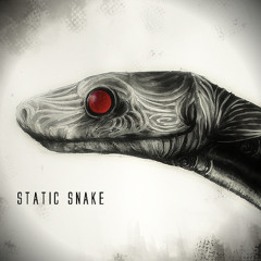 Static Snake