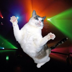 discohenk