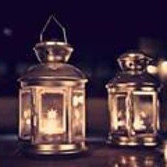 noha sayed