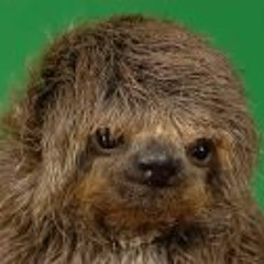 Sif Degenerate Hero Lewis