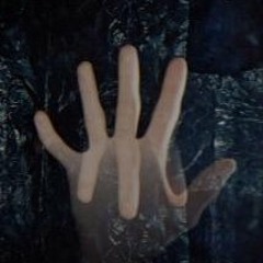 yourownfleshandblood