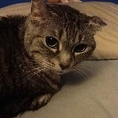 Katie Halfpint Wooten