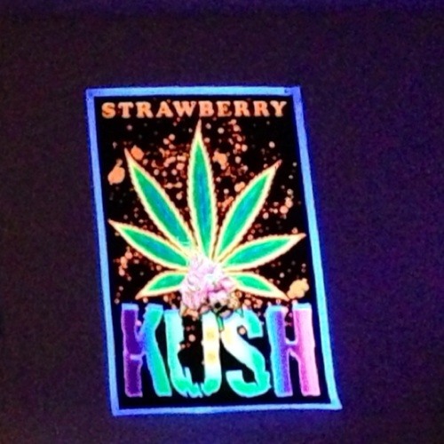 Mac Dre