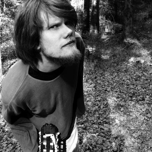THE RUBY SUNS - THERE ARE BIRDS - COVER BY JAKOB FÄLLBERG