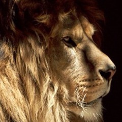 Hesham Nazeah