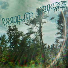 Wild Rice Music