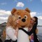 Sugar_Bear