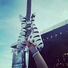 Bonisseur de la basse