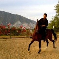 Jose Luis Carrizales