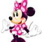 Minnie Mouse Bri