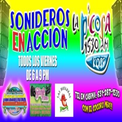 Sonideros en Accion