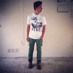 Fidel Torres95