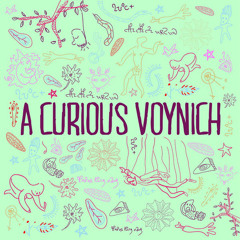acuriousvoynich