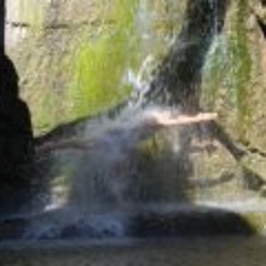 Son Of Shiva (Omstrumental)
