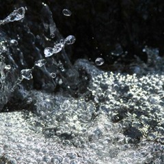 Euphoric Music Promotions