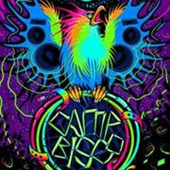 Hippie Jamz