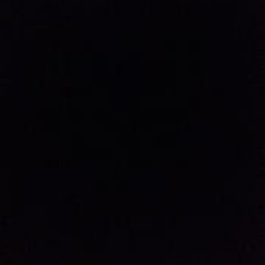 Travis Da Bluff Tanner