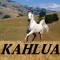 Kahlua.
