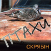 Skryabin Птахи