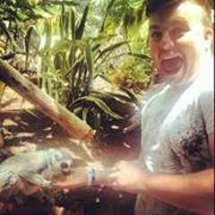 Ross Stroodle Pierce