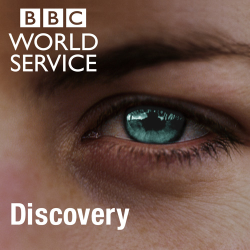 WSDiscovery’s avatar