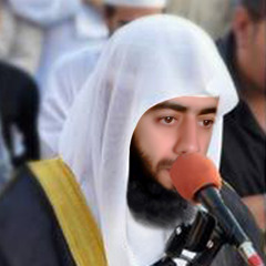 ahmed.ragah