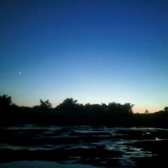 orarg