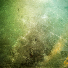 Homegirl's Snatch Records