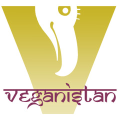 Vegan singer-songwriters