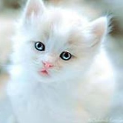 Lakitha Premachandra