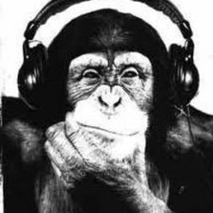 The Rogue Musicologist