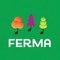 FERMA