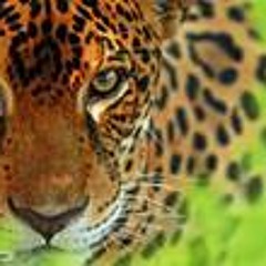 Washington Monteiro 2