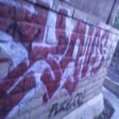 KAMER395