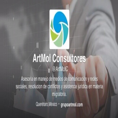 ArtMol Consultores’s avatar