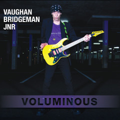 Vaughan Bridgeman Jnr