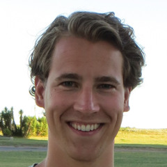 Roemer Vlasveld