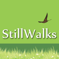stillwalks