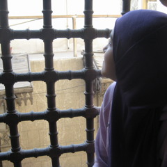 Hadeelabdelhady
