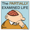 Partially Examined Life
