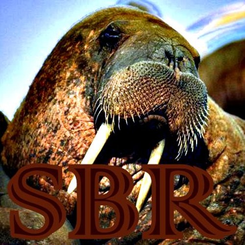 Stream S.B.R. music | Listen to songs, albums, playlists for free on ...
