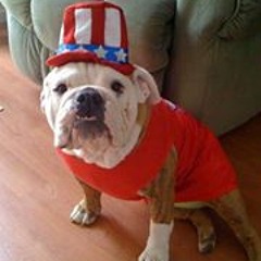 Kerri Zelenka-Bender