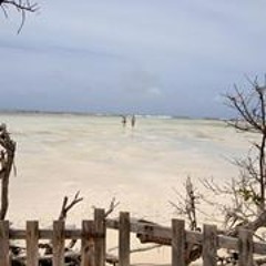 Katiuscia Principato