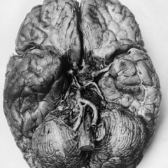 neuroblastomagazine
